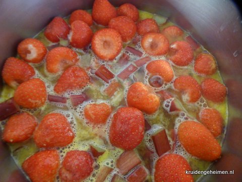 Rabarber met Aardbeiensap