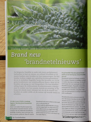 Brandnetel - Tuinliefhebber