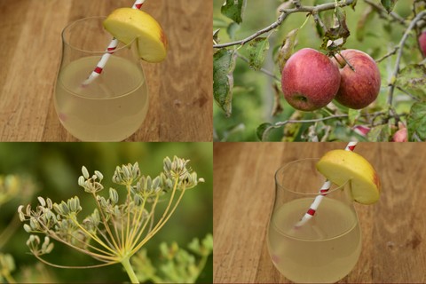 Appelvenkelwater - kruidengeheimen